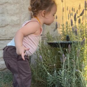 Bombacha de Campo Bebé - Línea Gury - Chocolate